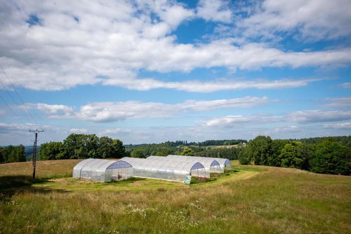 Magasin de produits à base de CBD en Corrèze