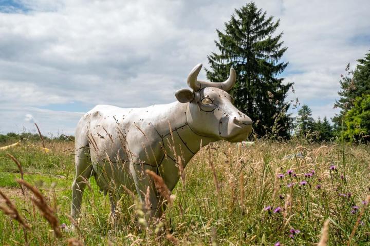 Location de gîtes Corrèze